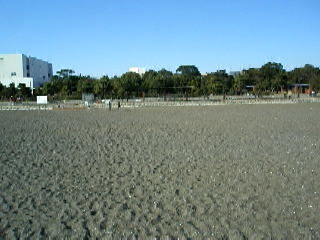 城南島海浜公園砂浜