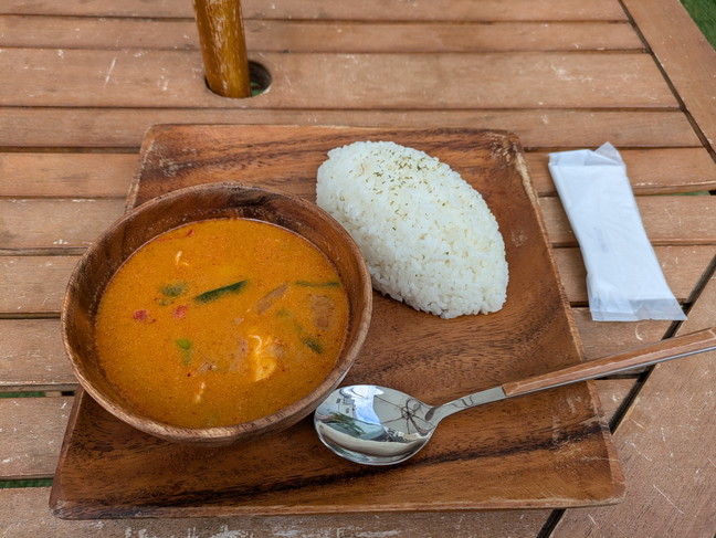 ココナッツカレー ココナッツカレー